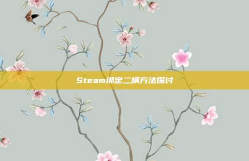 Steam绑定二柄方法探讨