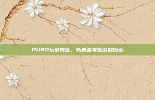 PUBG玩家转区,新机遇与挑战的探索