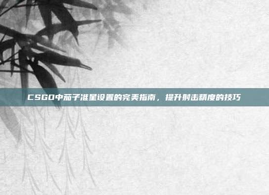 CSGO中茄子准星设置的完美指南,提升射击精度的技巧