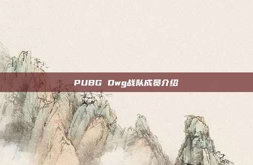 PUBG Dwg战队成员介绍