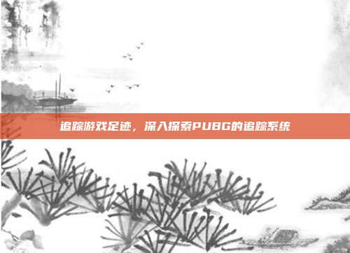 追踪游戏足迹,深入探索PUBG的追踪系统