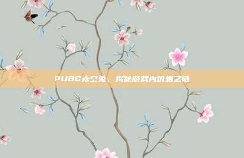 PUBG太空兔,揭秘游戏内价格之谜