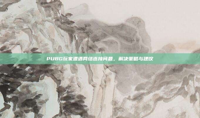 PUBG玩家遭遇网络连接问题,解决策略与建议