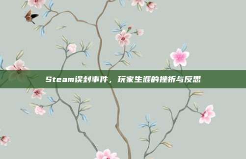 Steam误封事件,玩家生涯的挫折与反思