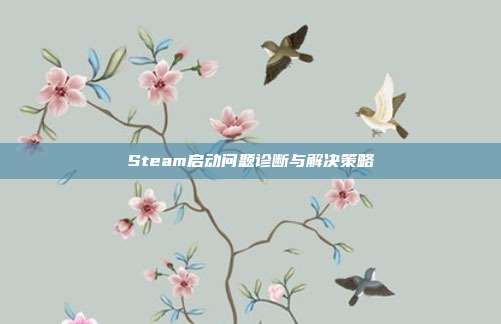 Steam启动问题诊断与解决策略