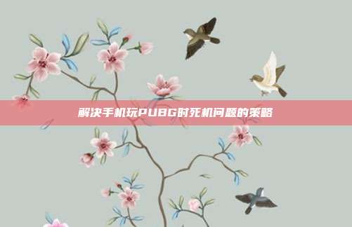 解决手机玩PUBG时死机问题的策略