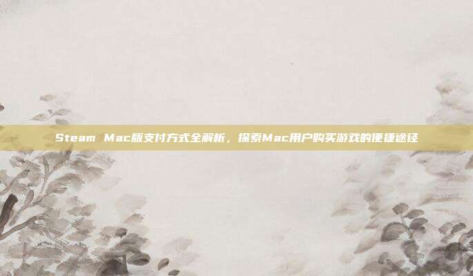 Steam Mac版支付方式全解析,探索Mac用户购买游戏的便捷途径