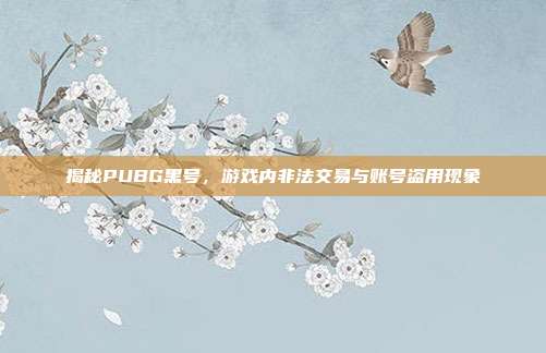 揭秘PUBG黑号,游戏内非法交易与账号盗用现象