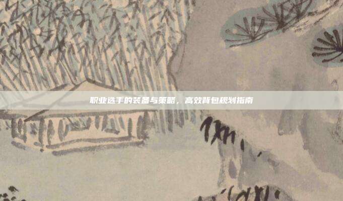 职业选手的装备与策略,高效背包规划指南
