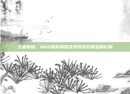 王者荣耀,460延时问题及其对游戏体验的影响