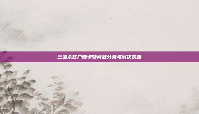 三国杀客户端卡顿问题分析与解决策略