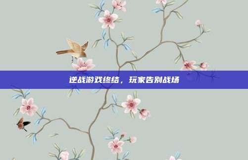 逆战游戏终结,玩家告别战场