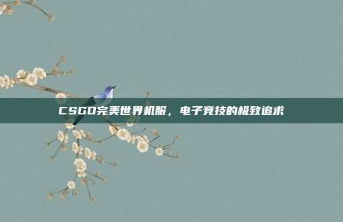 CSGO完美世界机服,电子竞技的极致追求