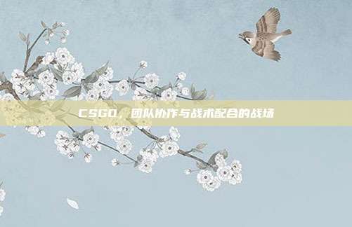 CSGO,团队协作与战术配合的战场
