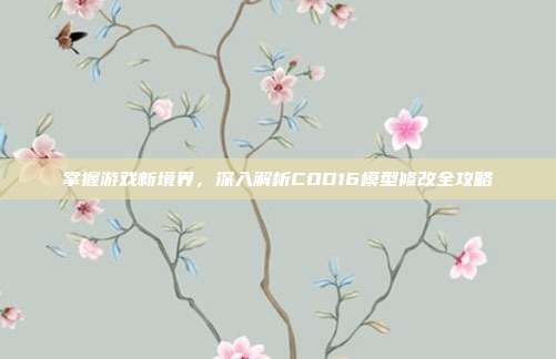 掌握游戏新境界,深入解析COD16模型修改全攻略