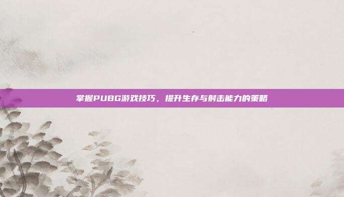掌握PUBG游戏技巧,提升生存与射击能力的策略