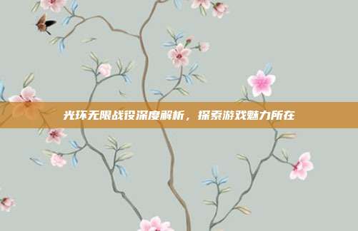 光环无限战役深度解析,探索游戏魅力所在