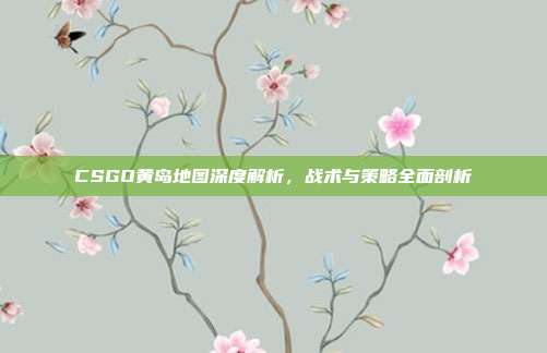CSGO黄岛地图深度解析,战术与策略全面剖析