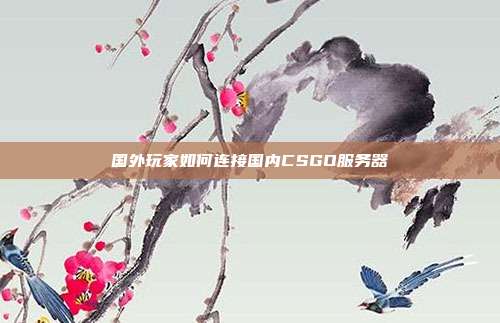 国外玩家如何连接国内CSGO服务器