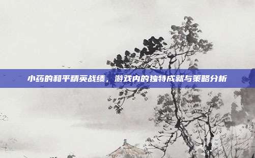 小药的和平精英战绩,游戏内的独特成就与策略分析