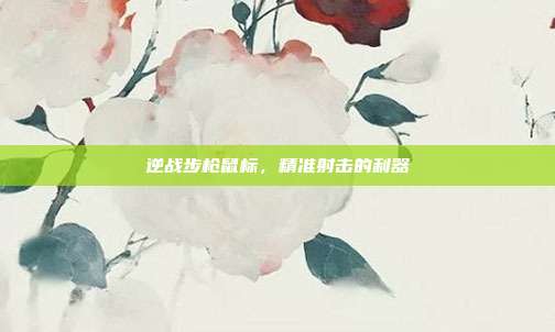 逆战步枪鼠标,精准射击的利器