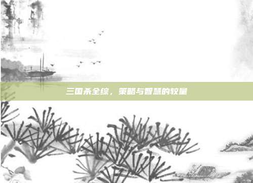 三国杀全综,策略与智慧的较量