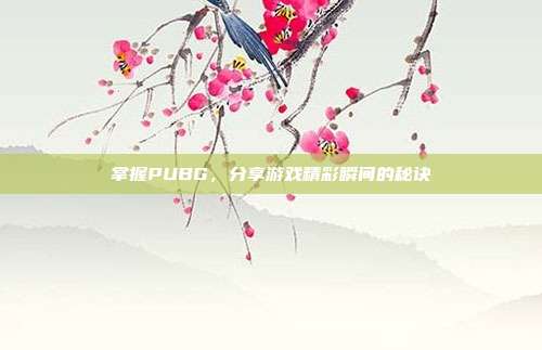 掌握PUBG,分享游戏精彩瞬间的秘诀