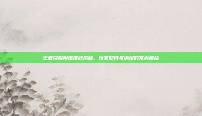 王者荣耀限定皮肤揭晓,玩家期待与满足的完美结合
