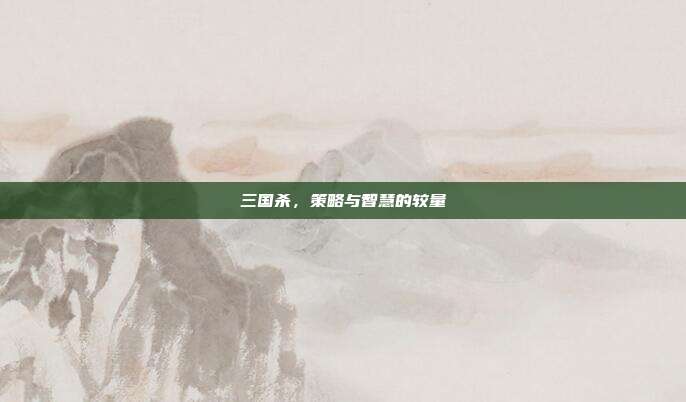 三国杀,策略与智慧的较量