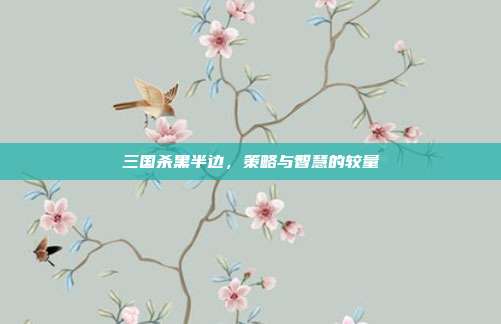 三国杀黑半边,策略与智慧的较量