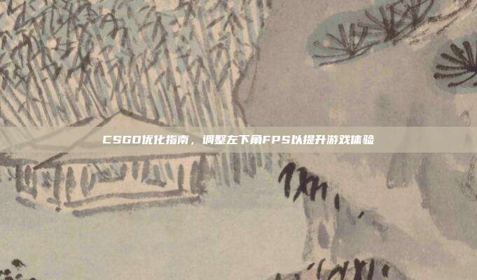 CSGO优化指南,调整左下角FPS以提升游戏体验