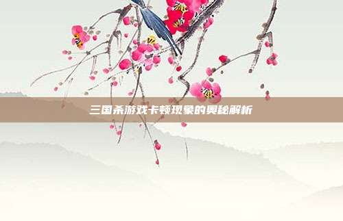 三国杀游戏卡顿现象的奥秘解析