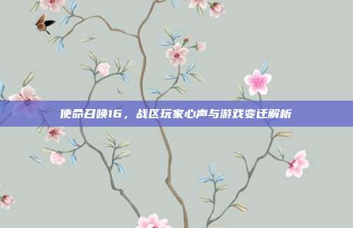 使命召唤16,战区玩家心声与游戏变迁解析