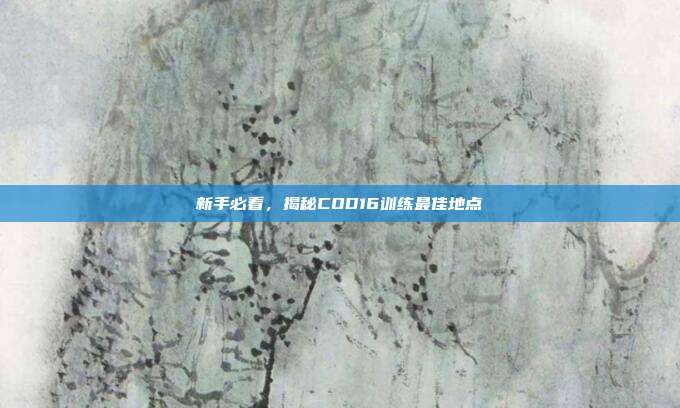 新手必看,揭秘COD16训练最佳地点