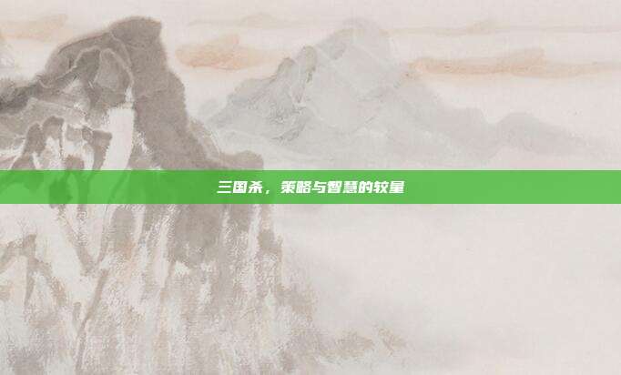 三国杀,策略与智慧的较量