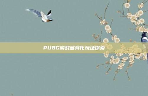 PUBG游戏多样化玩法探索