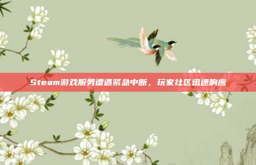 Steam游戏服务遭遇紧急中断,玩家社区迅速响应