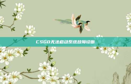 CSGO无法启动系统故障诊断