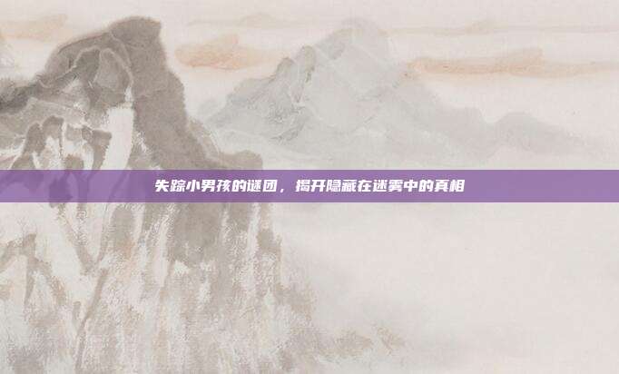 失踪小男孩的谜团,揭开隐藏在迷雾中的真相