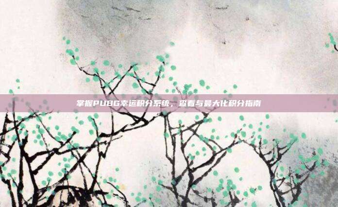 掌握PUBG幸运积分系统,查看与最大化积分指南