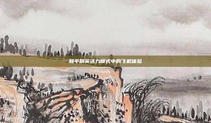 和平精英活力模式中的飞机体验