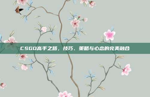 CSGO高手之路,技巧、策略与心态的完美融合