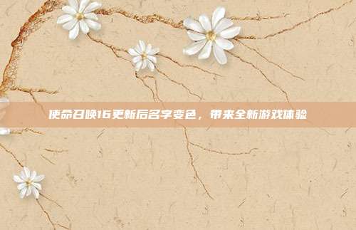 使命召唤16更新后名字变色,带来全新游戏体验