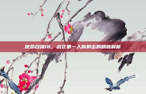 使命召唤16,战区第一人称射击的精髓解析
