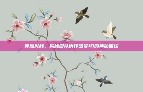 穿越火线,揭秘团队协作暗号ID的神秘面纱