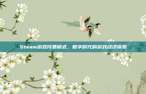 Steam游戏付费模式,数字时代的游戏经济探索