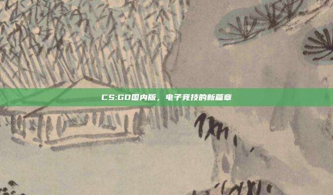 CS:GO国内版,电子竞技的新篇章