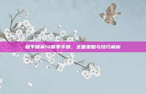 和平精英14赛季手册,全面策略与技巧解析