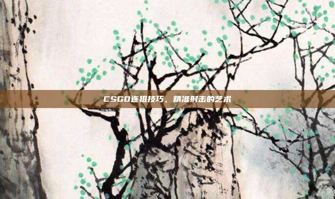 CSGO连狙技巧,精准射击的艺术
