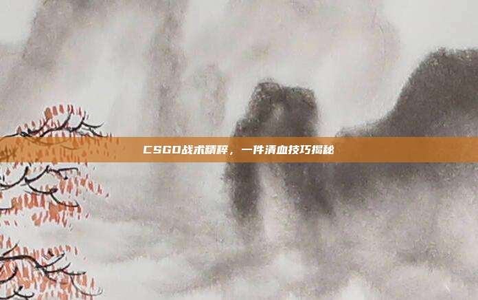 CSGO战术精粹,一件清血技巧揭秘